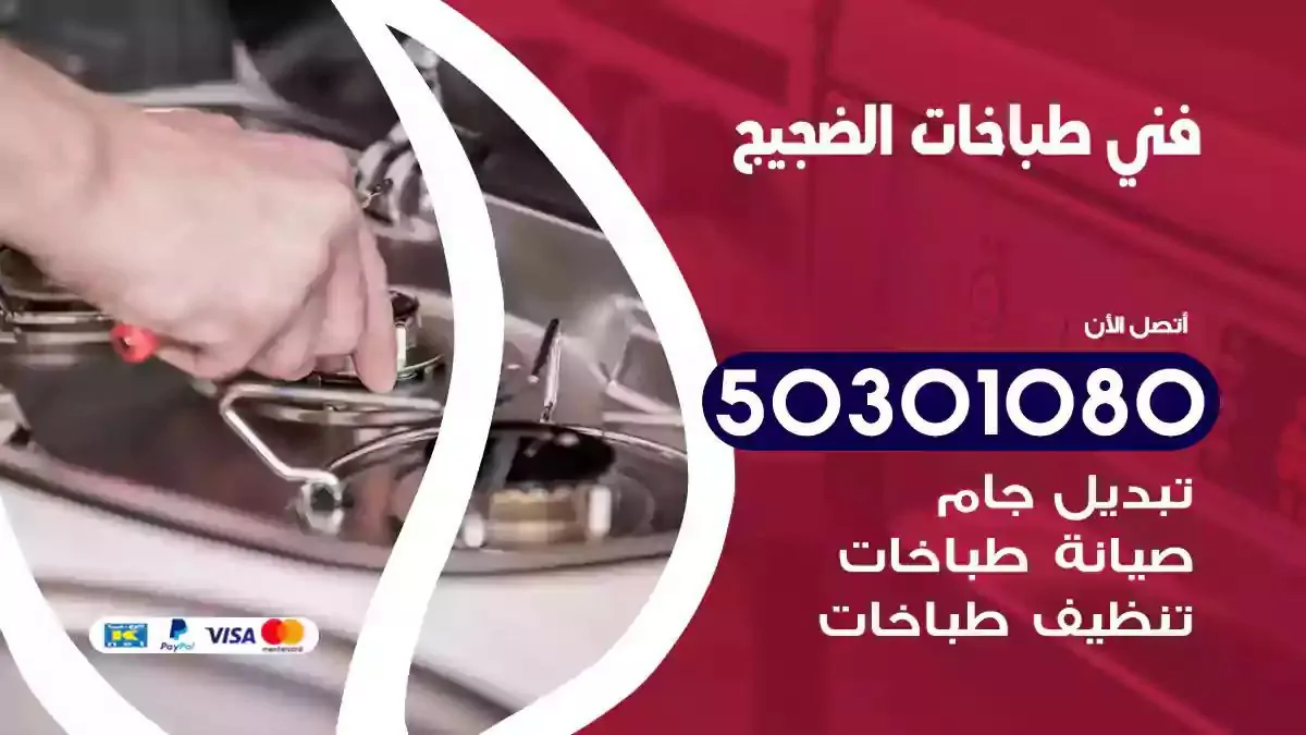 فني طباخات الضجيج