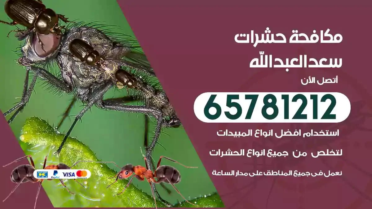 شركة مكافحة حشرات سعد العبد الله