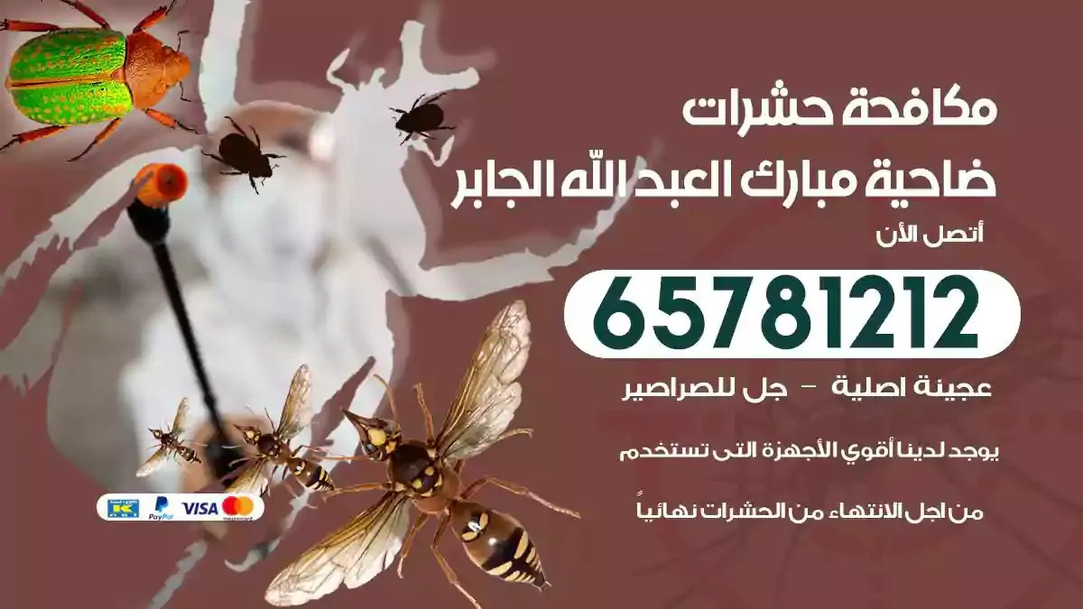 شركة مكافحة حشرات ضاحية مبارك العبدالله الجابر