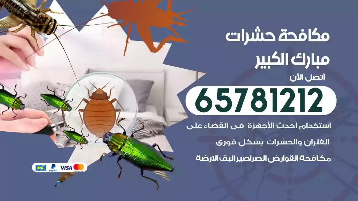 شركة مكافحة حشرات مبارك الكبير